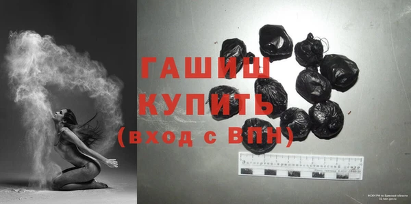 индика Вяземский