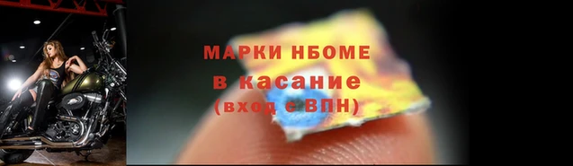 индика Вяземский