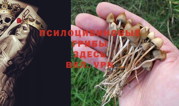 МДПВ Волосово