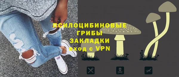 индика Вяземский